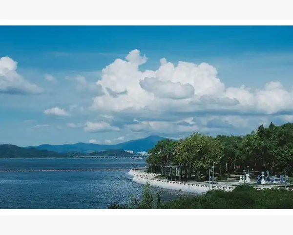 普洱姜茶：驱寒暖胃的良方